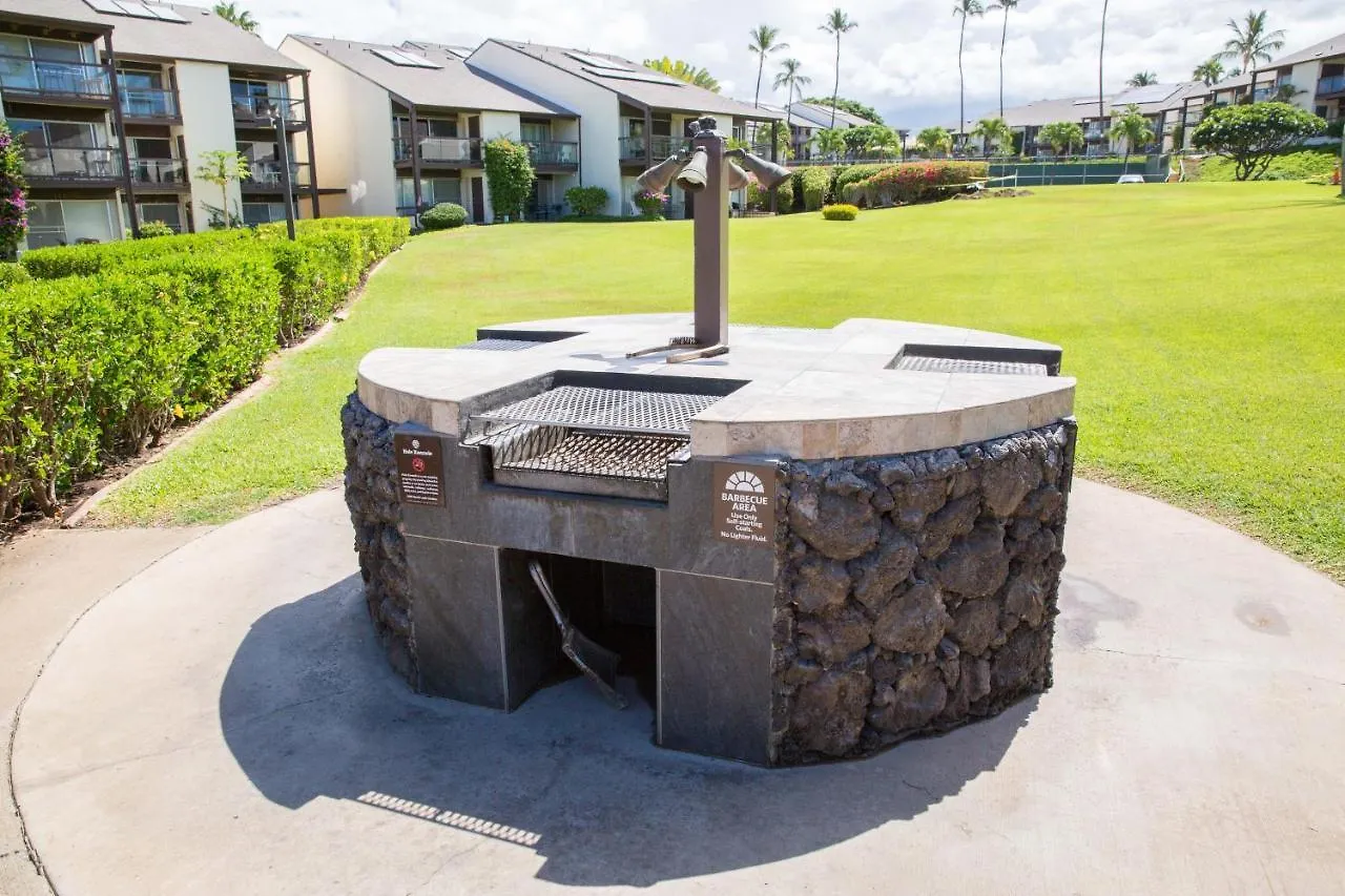 Hale Kamaole 333 Villa Wailea  Holiday home