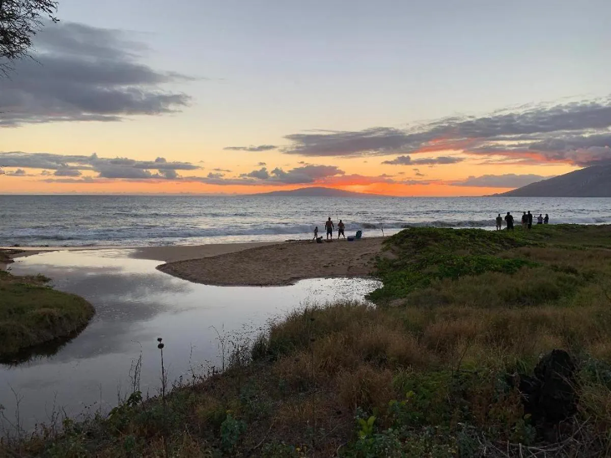Hale Kamaole 333 Villa Wailea  United States