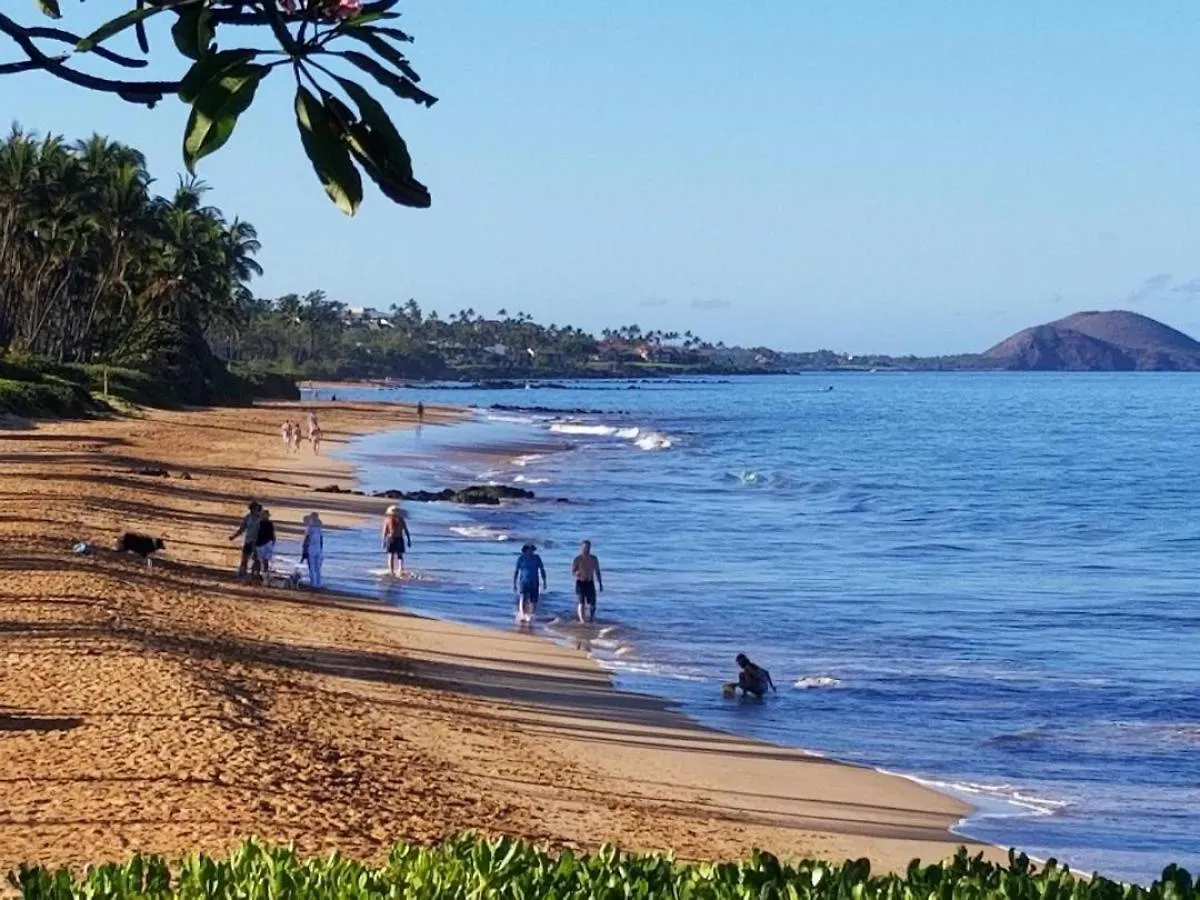 Hale Kamaole 333 Villa Wailea  Holiday home Wailea (Maui)
