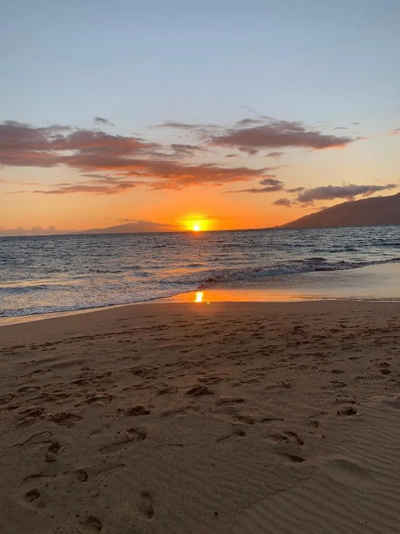 Holiday home Hale Kamaole 333 Villa Wailea
